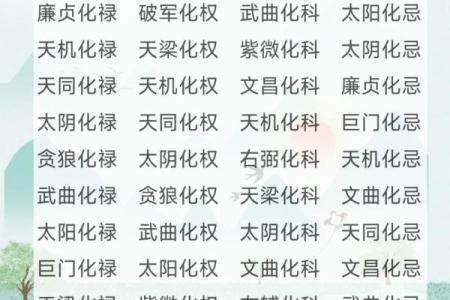 紫薇斗数飞星排盘