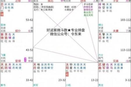 紫薇斗数感情多波折是什么意思