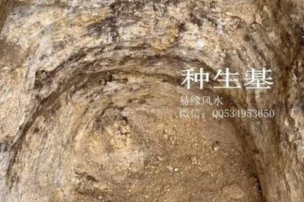 种生基之吉日
