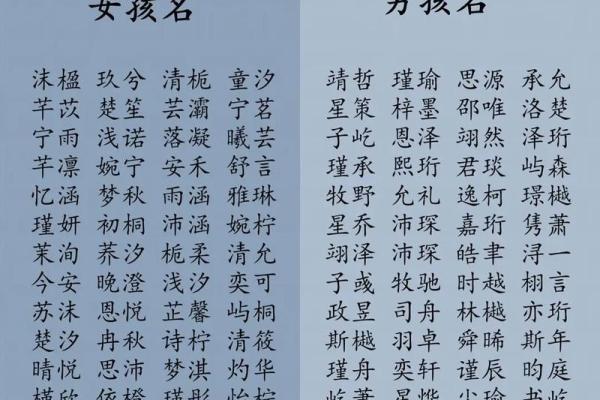 宝宝八字取名字大全免费,免费取名字大全生辰八字起名