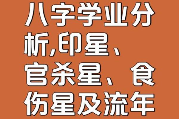 八字喜用神看发展方向可信度