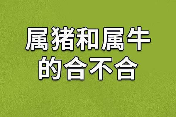 属牛和属牛的适合做夫妻吗 属牛夫妻配对可行吗