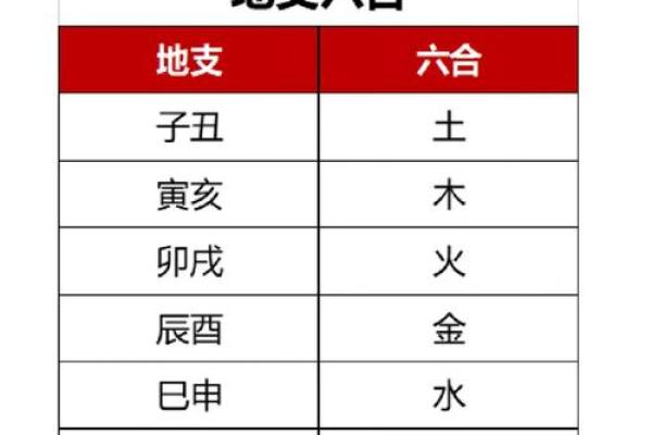 八字地支相冲分析与处理技巧