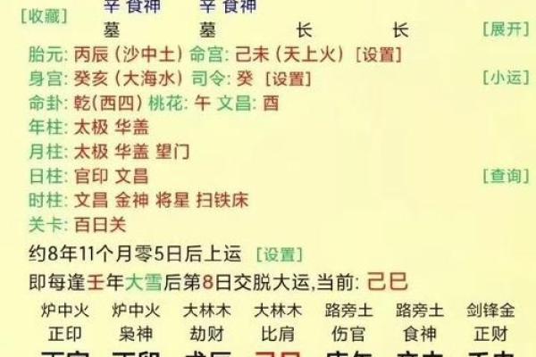 辛未八字