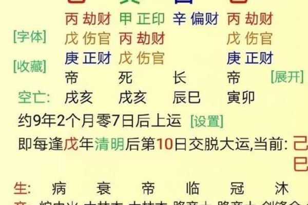 辛未八字
