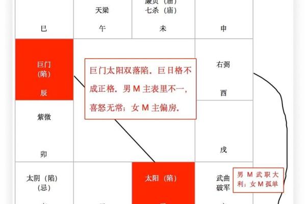 紫微斗数之疾厄宫与诸星，天相星在疾病宫是什么意思？