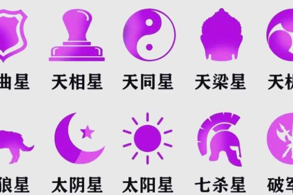 紫薇斗数中多个星哪个为主星