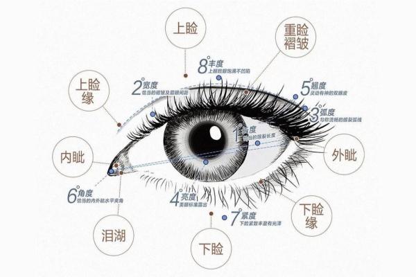 眼相算命图解大全