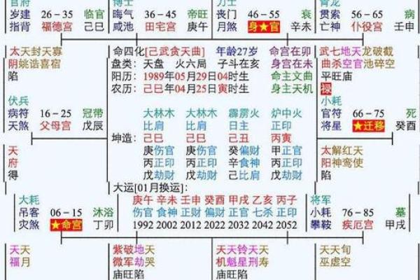 中洲紫薇斗数