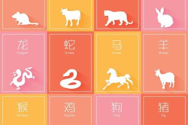 八字看属相