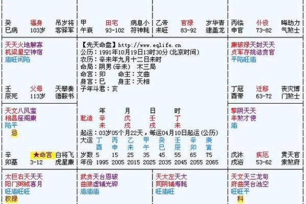 大运紫微斗数命盘查询详解 紫微斗数大运什么意思？
