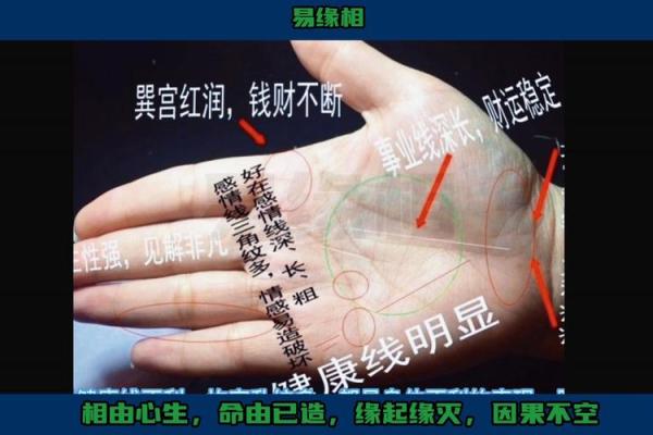 手线算命