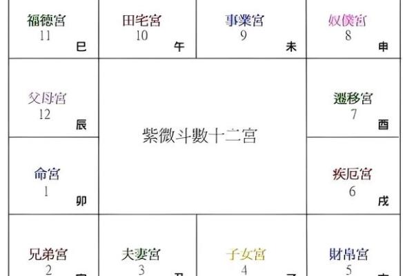 紫薇斗数阴阳属性