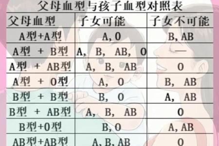 各血型能生出什么血型BB