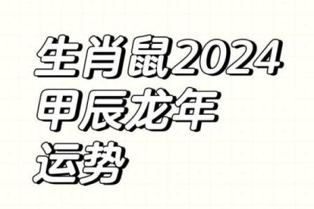 2024年对生肖鼠好不好，属鼠人在2024年的有利方位解析