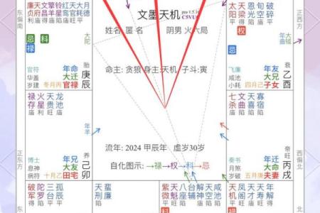 紫微斗数之各星曜所主行业：测本人能否选举上？