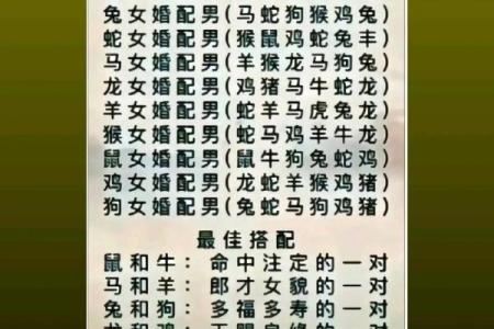 马和羊夫妻生什么生肖配对  马与羊相配