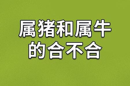属牛和属牛的适合做夫妻吗 属牛夫妻配对可行吗