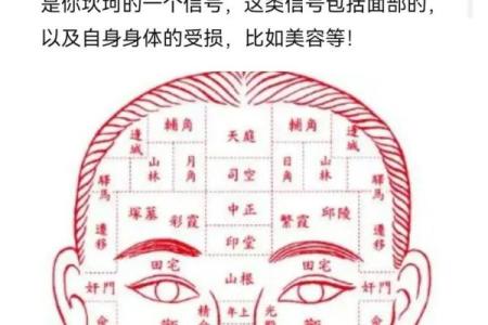 眼皮看面相算命