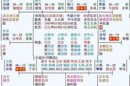 中洲紫薇斗数