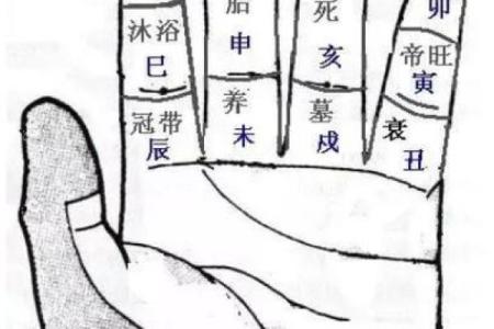 手线算命