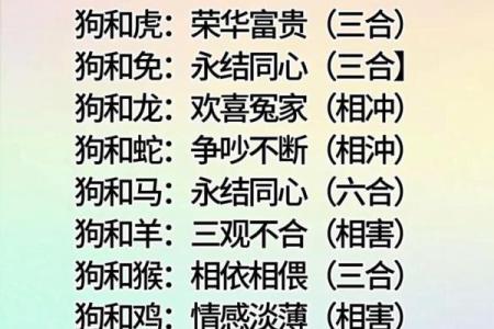 终于有人把“十二生肖夫妻配对表”，整理出了，看看吧，仅供参考