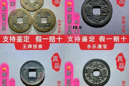 怎么用五地钱算命