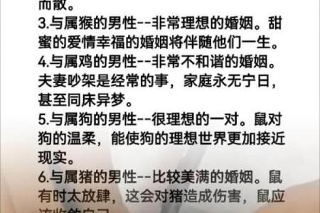 属鼠AB血型的人性格与事业姻缘