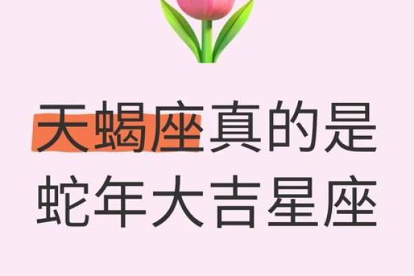 最佳合伙人的天蝎座配对