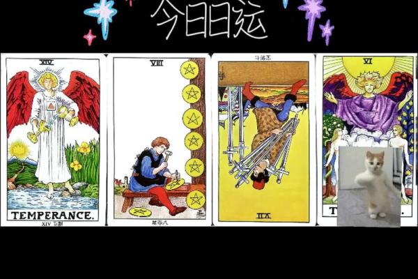 塔罗测试：一月健康运势？