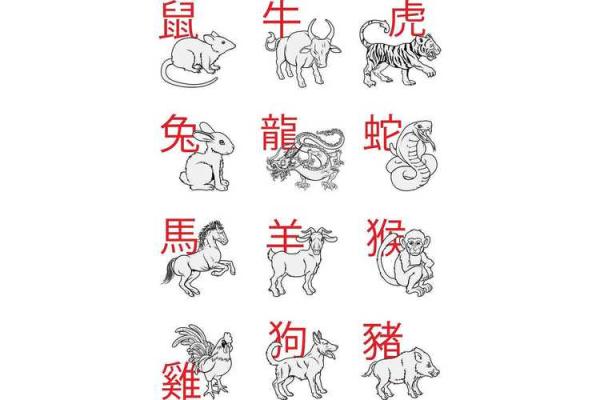 属牛和属蛇的相合配对指数