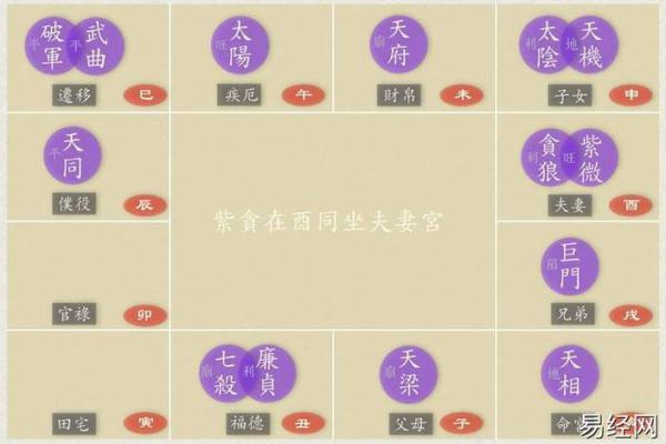 一梦江湖中紫微斗数怎么玩 一梦江湖武当紫薇九耀？