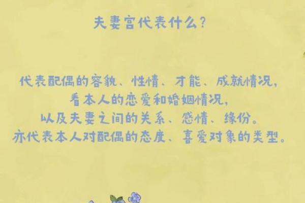 紫薇斗数看才华