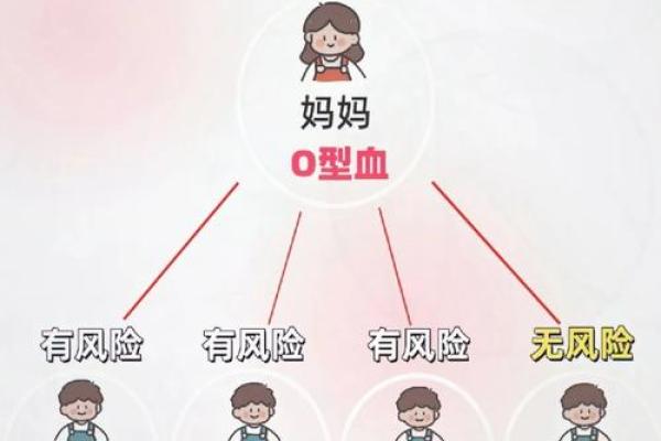 a型血和b型生的孩子是什么血型呢