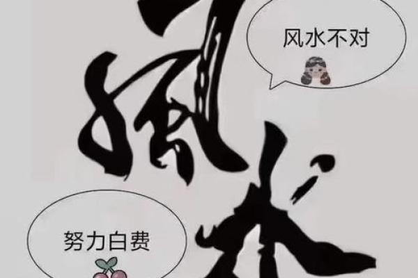 风水什么十件东西不能捡是大忌