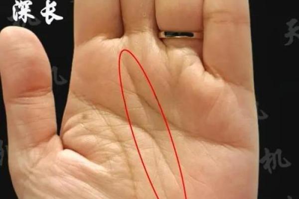 手型算命：木型人的性格与命运