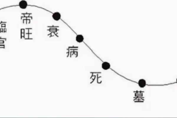 什么是紫微斗数中的天姚 紫微斗数 天姚？