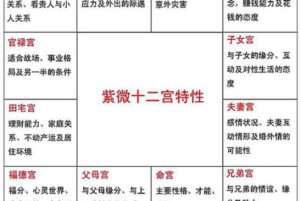 什么是紫微斗数中的天姚 紫微斗数 天姚？
