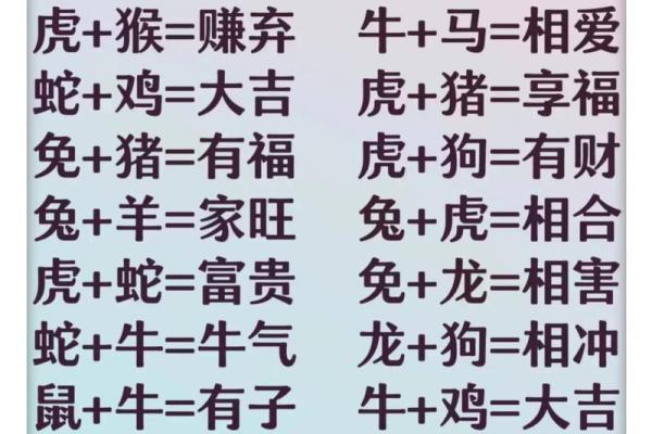 12生肖男女最佳配对 哪些生肖男女最适合搭配成为最佳配对