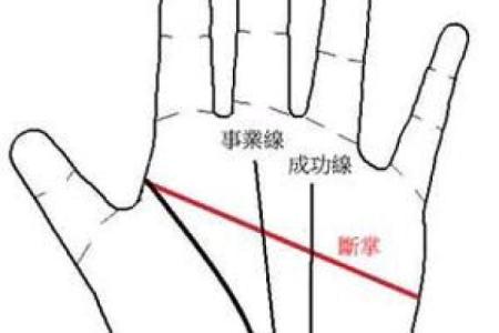 男人断掌手纹算命图解