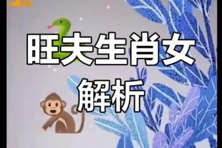 生肖鸡和生肖蛇能够配对吗