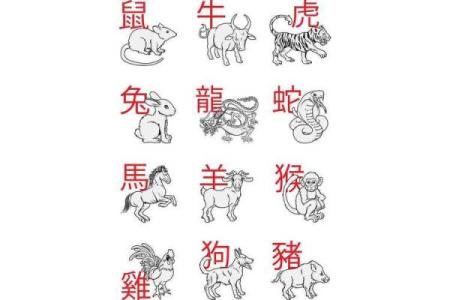 属牛和属蛇的相合配对指数