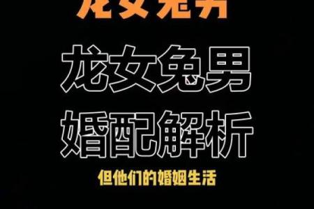 生肖兔和兔的配对是否适合