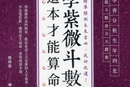 紫薇斗数看才华