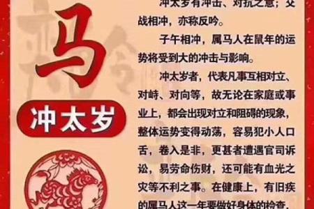 属鼠O血型的人性格与事业姻缘
