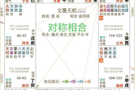 紫薇斗数中临官
