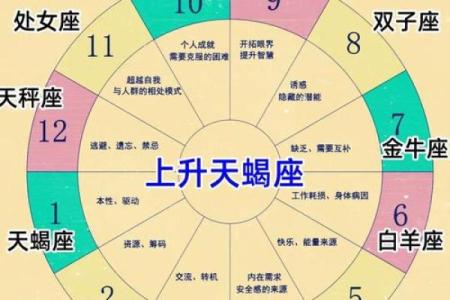 双子和天蝎座配对指数