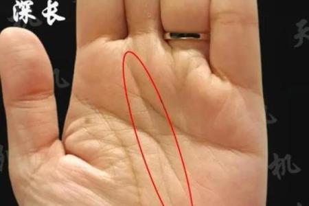 手型算命：木型人的性格与命运