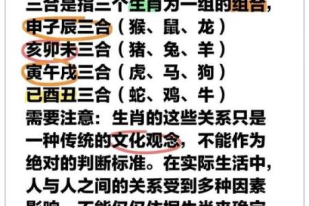 属相配对父子相冲