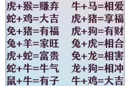 12生肖男女最佳配对 哪些生肖男女最适合搭配成为最佳配对